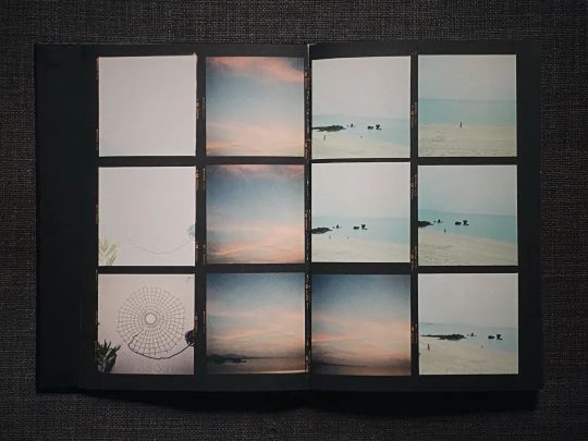 林一